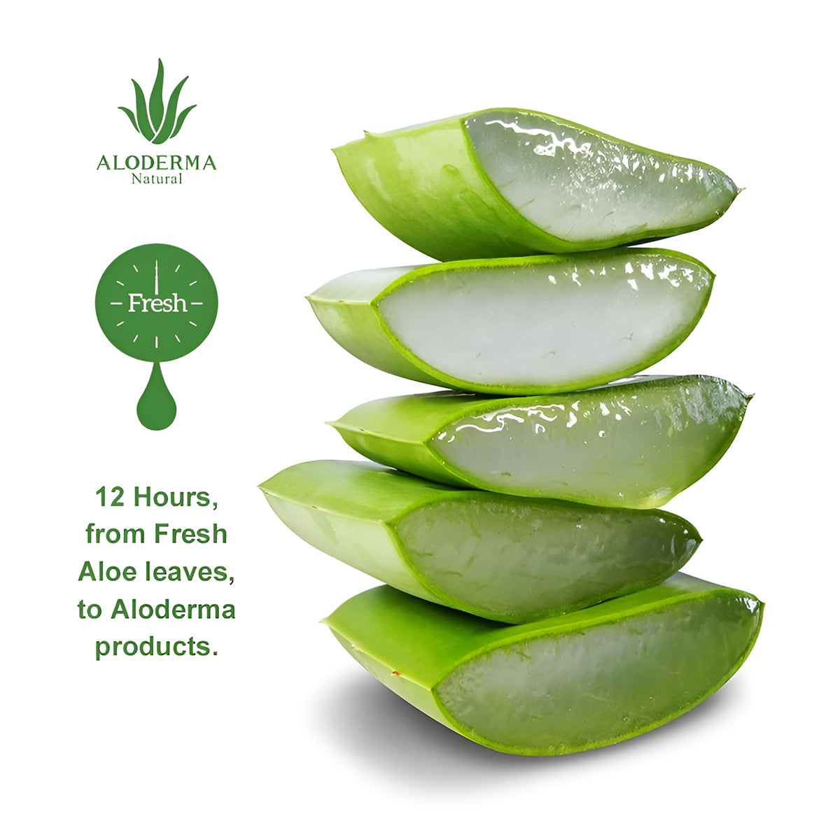 ALODERMA Aloe Acne Removing Cleanser,100g