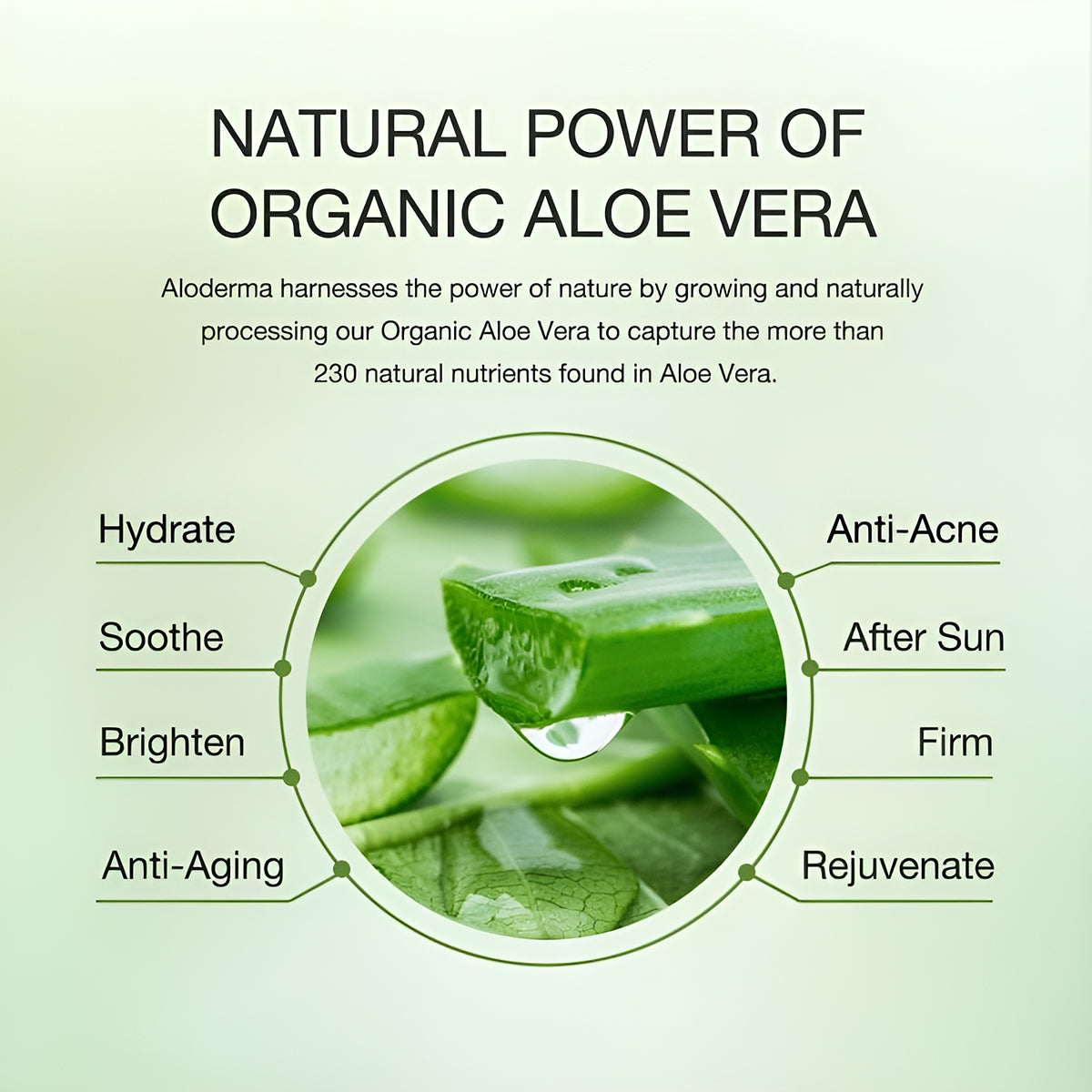 ALODERMA Aloe Acne Removing Serum,50ml