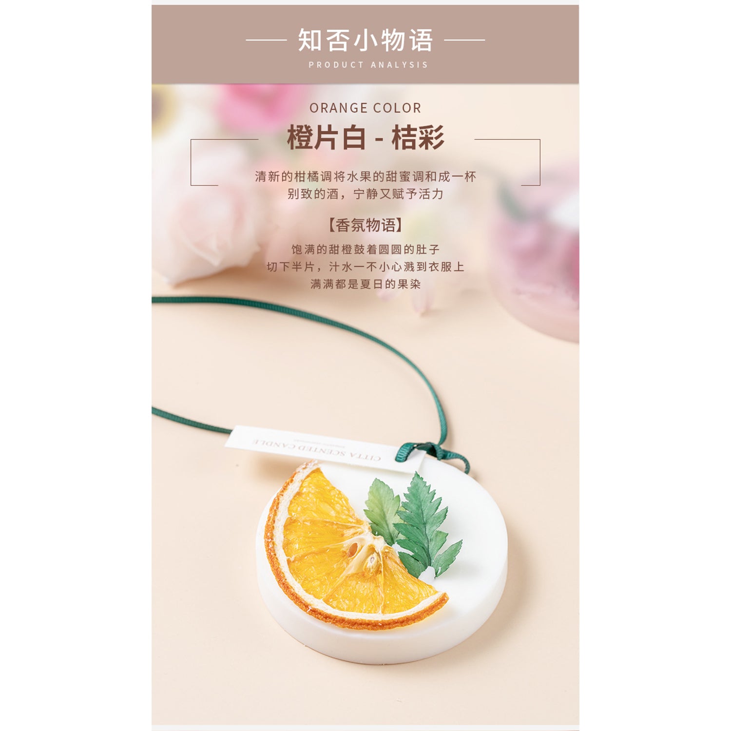 CITTA Dried Flower Scented Wax Slice Door Gift Aromatherapy Natural Smell Aroma Candle Natural Smell Wardrobe Perfume Fragrance Aromantic Closet Scent/ Sachet Fragrance