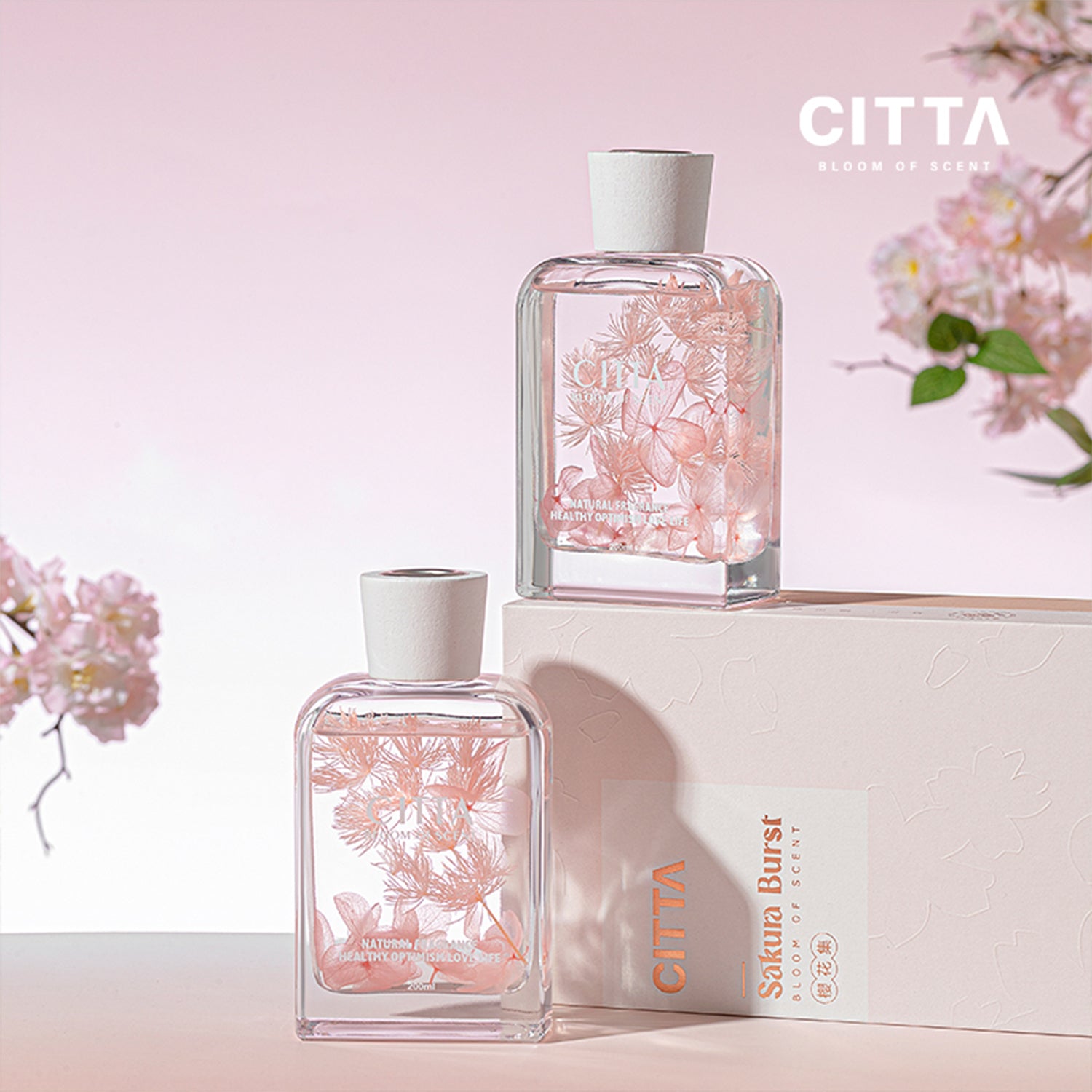 CITTA Cherry Blossom Series 200ML Reed Diffuser with Reed Stick, Sakura Burst