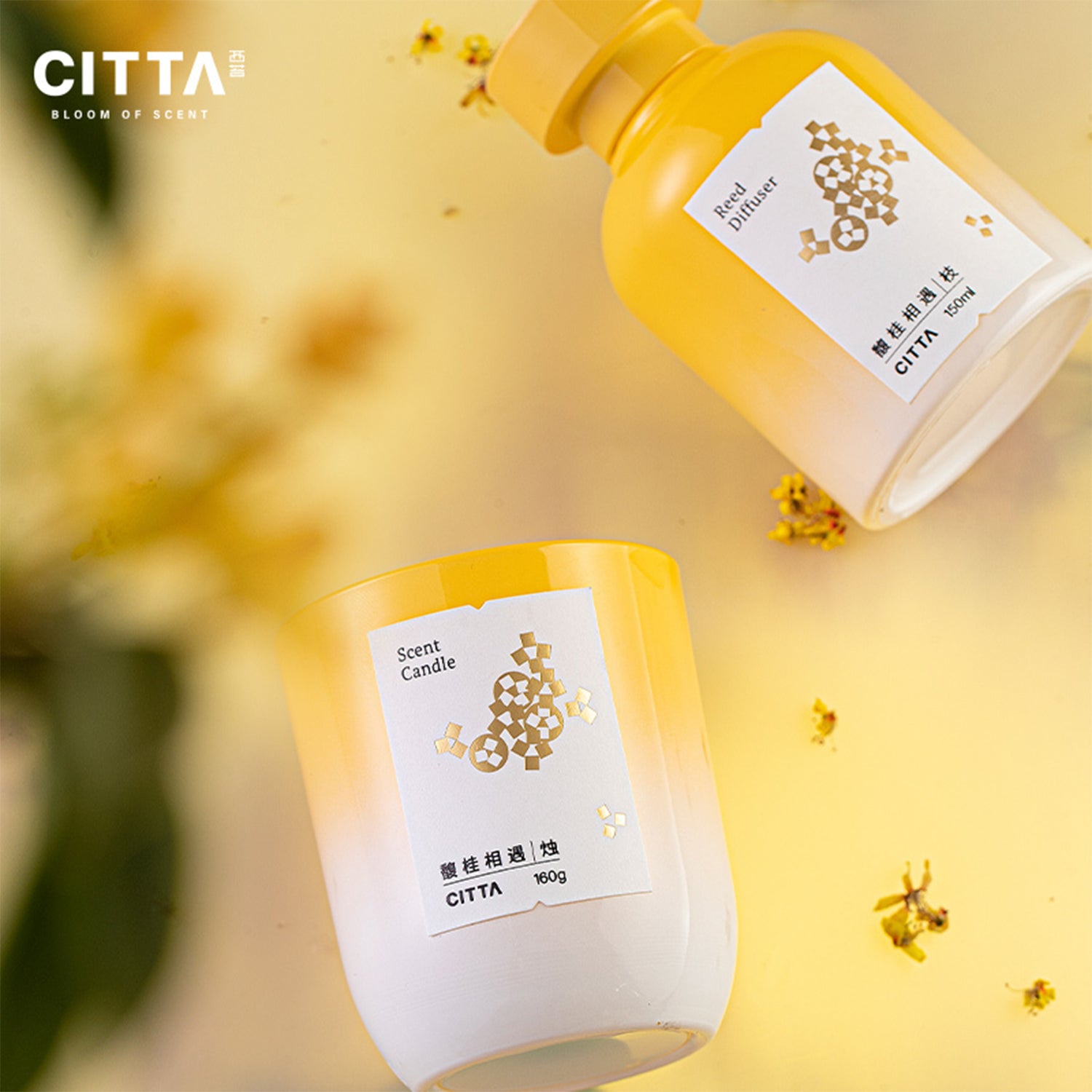 CITTA Autumn Reed Diffuser and Scented Candle Gift Set 150ML Essential Oil Aromatheraphy Diffuser Fragrance Candle Personalised Gift Set Wedding Anniversary Christmas Valentine Women Gift Idea Breath and Imagine Series , Osmanthus