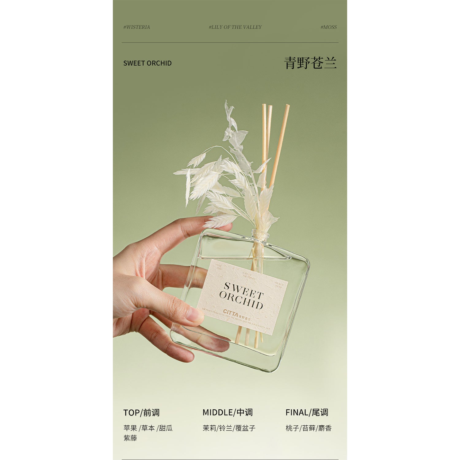 CITTA Natural Taste Series Premium 100ML Aromatheraphy Reed Diffuser with Reed Stick and Dry Flower Personalised Gift Idea