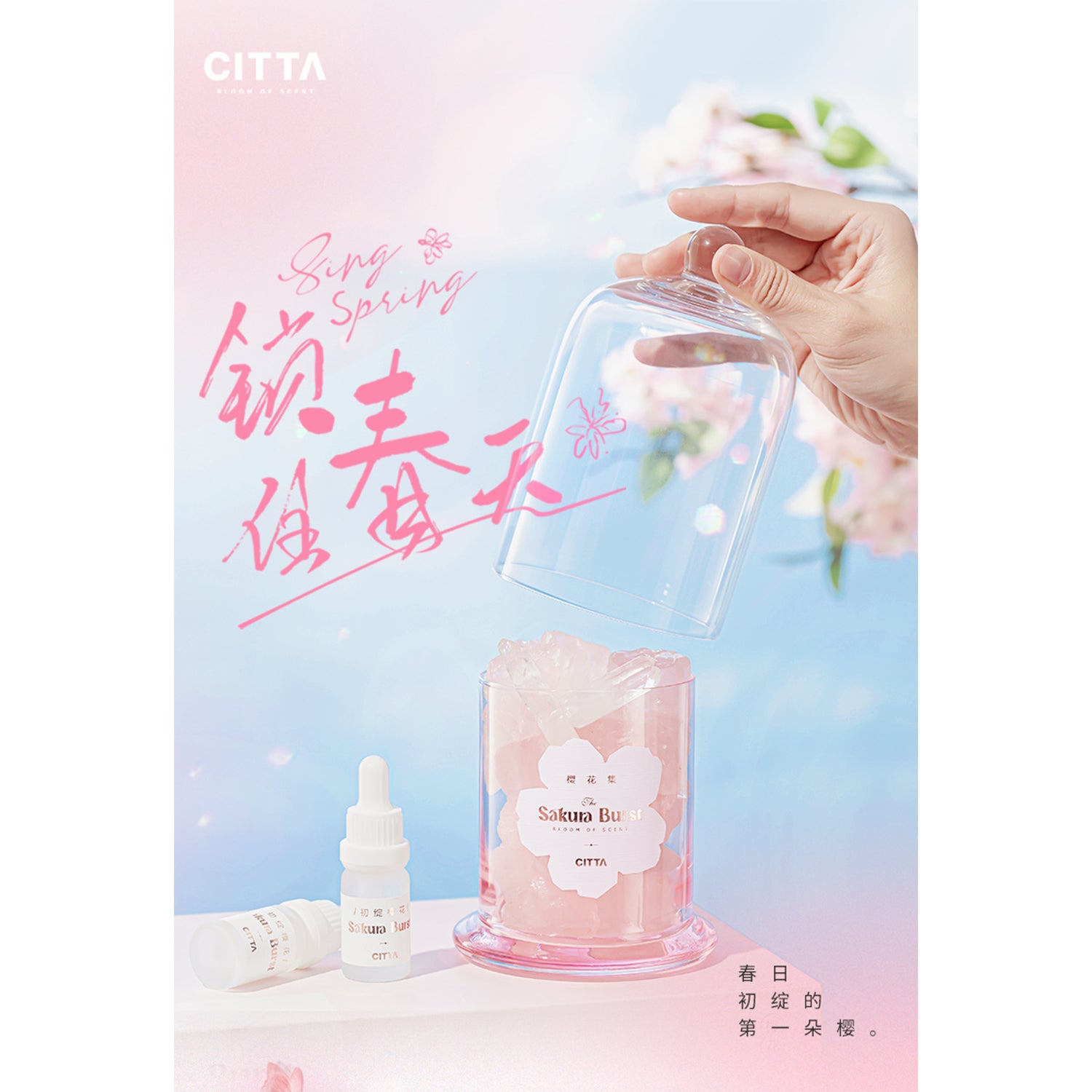 CITTA Cherry Blossom Stone Series with Essential Oil Set, Sakura Burst