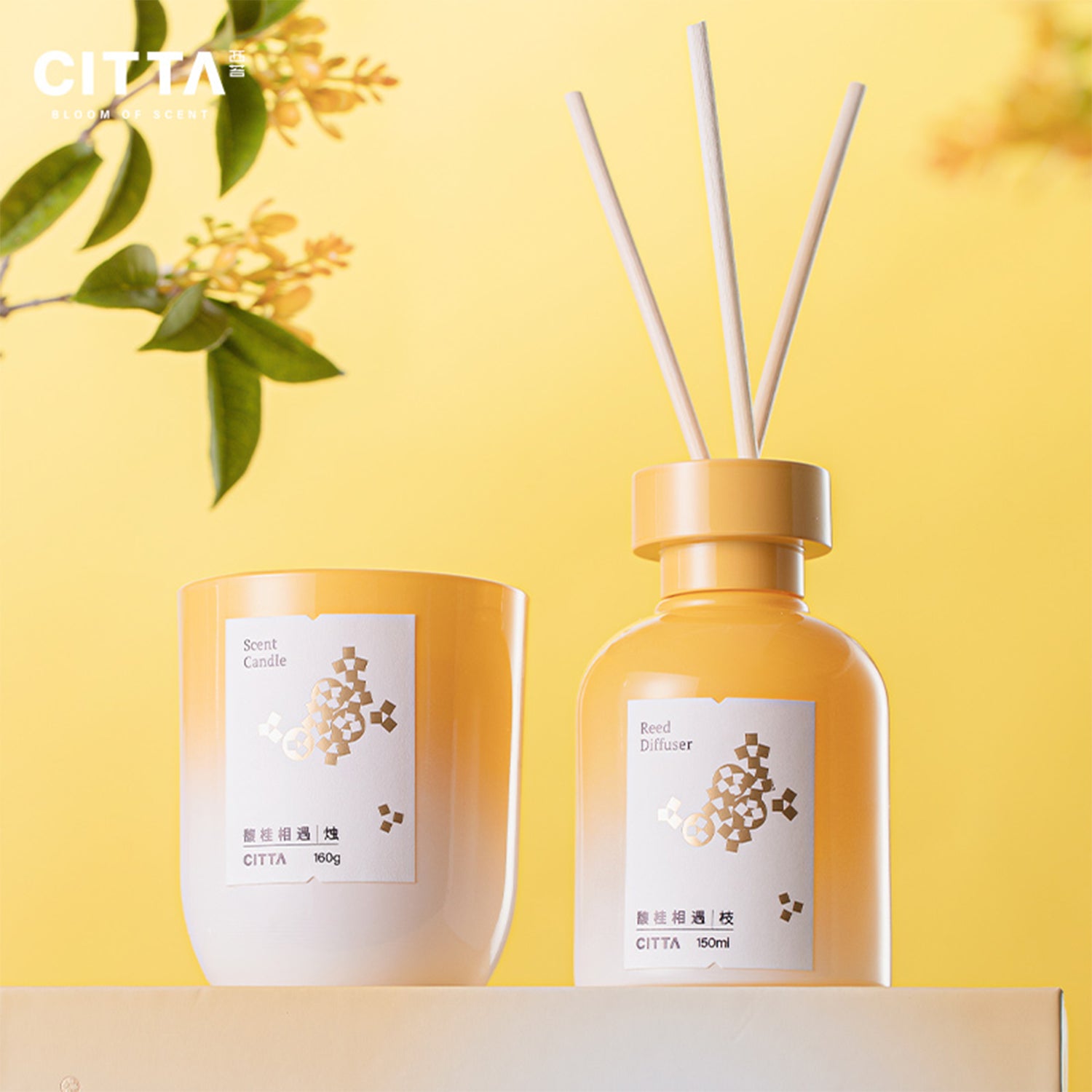 CITTA Autumn Reed Diffuser and Scented Candle Gift Set 150ML Essential Oil Aromatheraphy Diffuser Fragrance Candle Personalised Gift Set Wedding Anniversary Christmas Valentine Women Gift Idea Breath and Imagine Series , Osmanthus