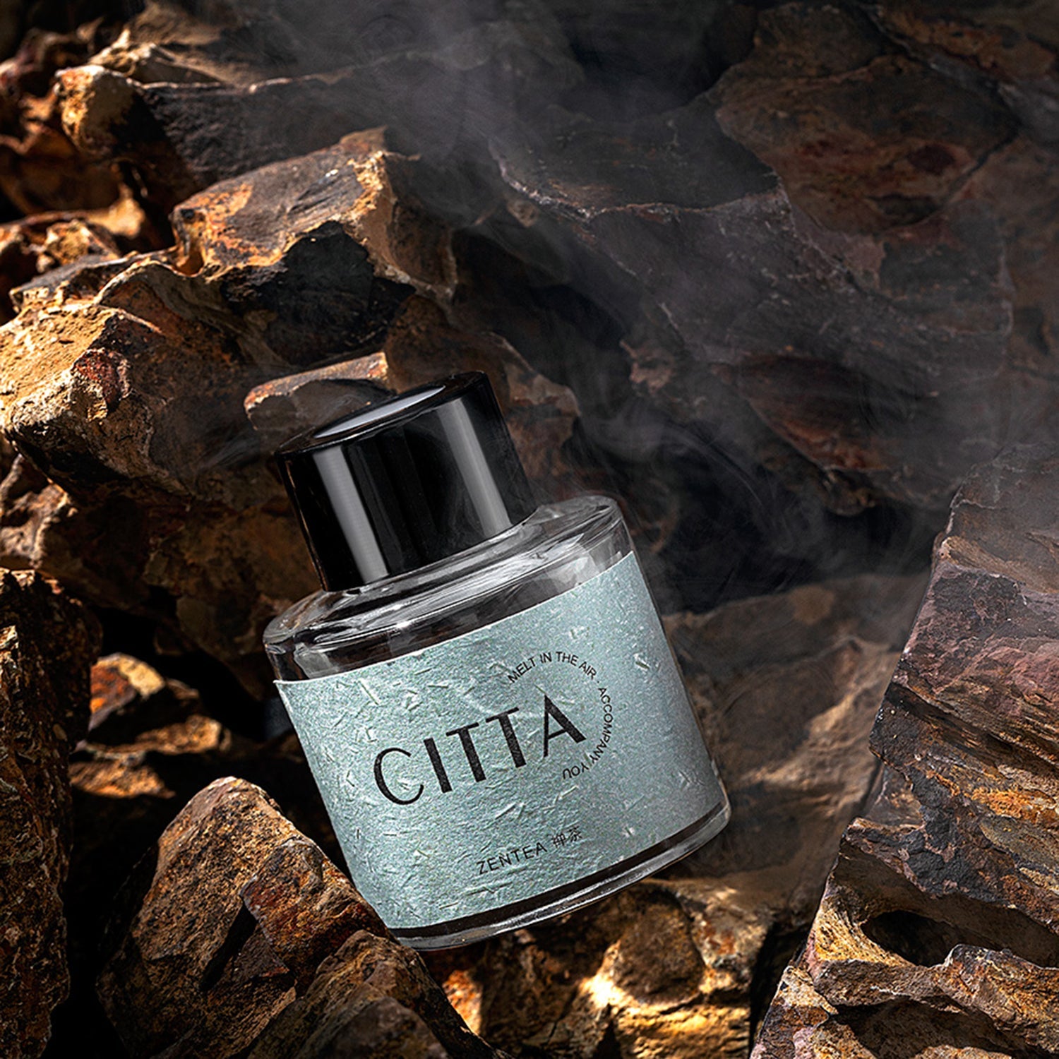 CITTA Car Aroma Fragrance 50ML Air Freshener Purifier Reed Diffuser with Silicone Anti-Slip Pad Car Fragrance CITTA 