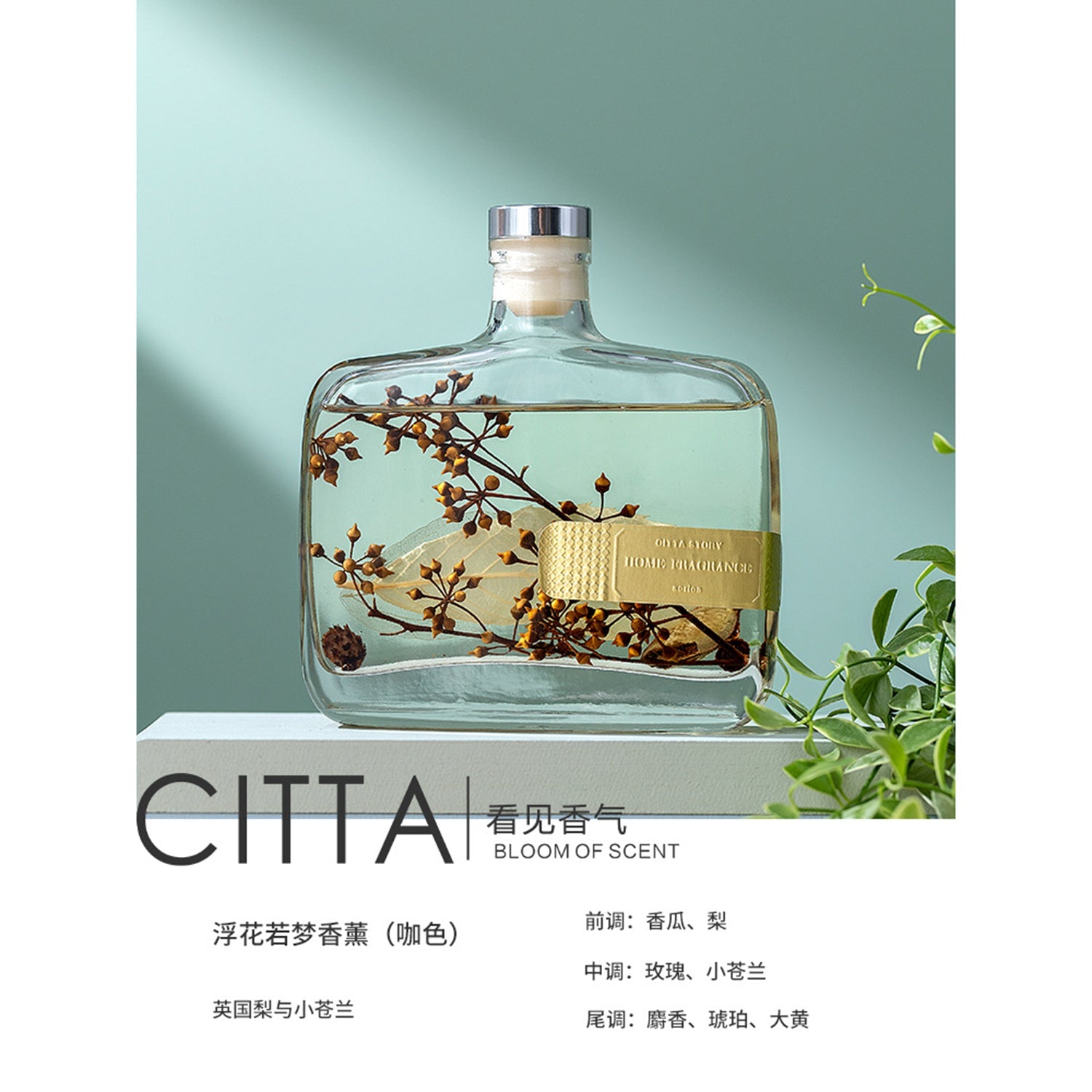 CITTA Dream Series Reed Diffuser Aromatherapy 350ML Premium Essential Oil with Reed Stick and Dry Flower Reed Diffuser CITTA English Pear & Freesia 