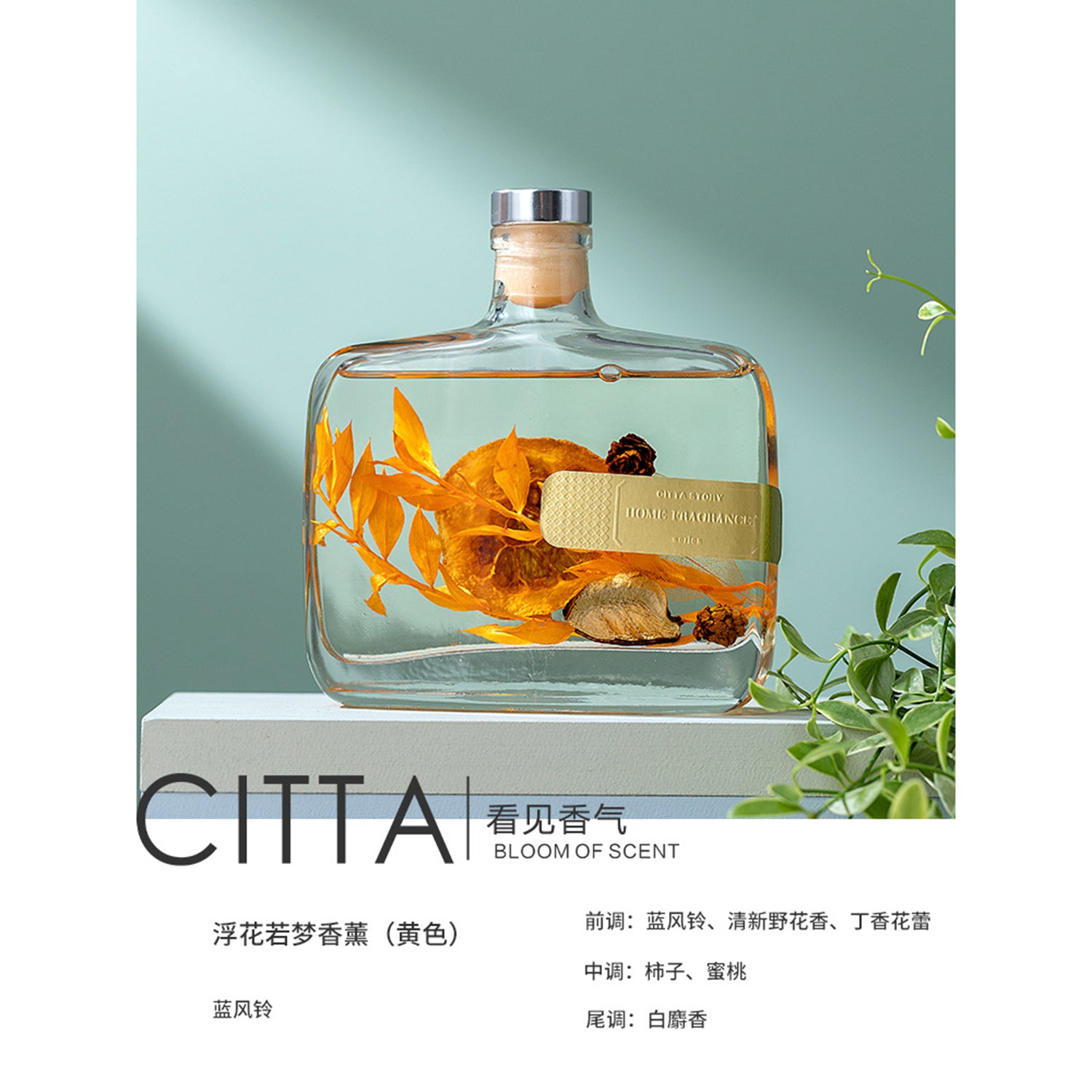 CITTA Dream Series Reed Diffuser Aromatherapy 350ML Premium Essential Oil with Reed Stick and Dry Flower Reed Diffuser CITTA Wild Bluebell 