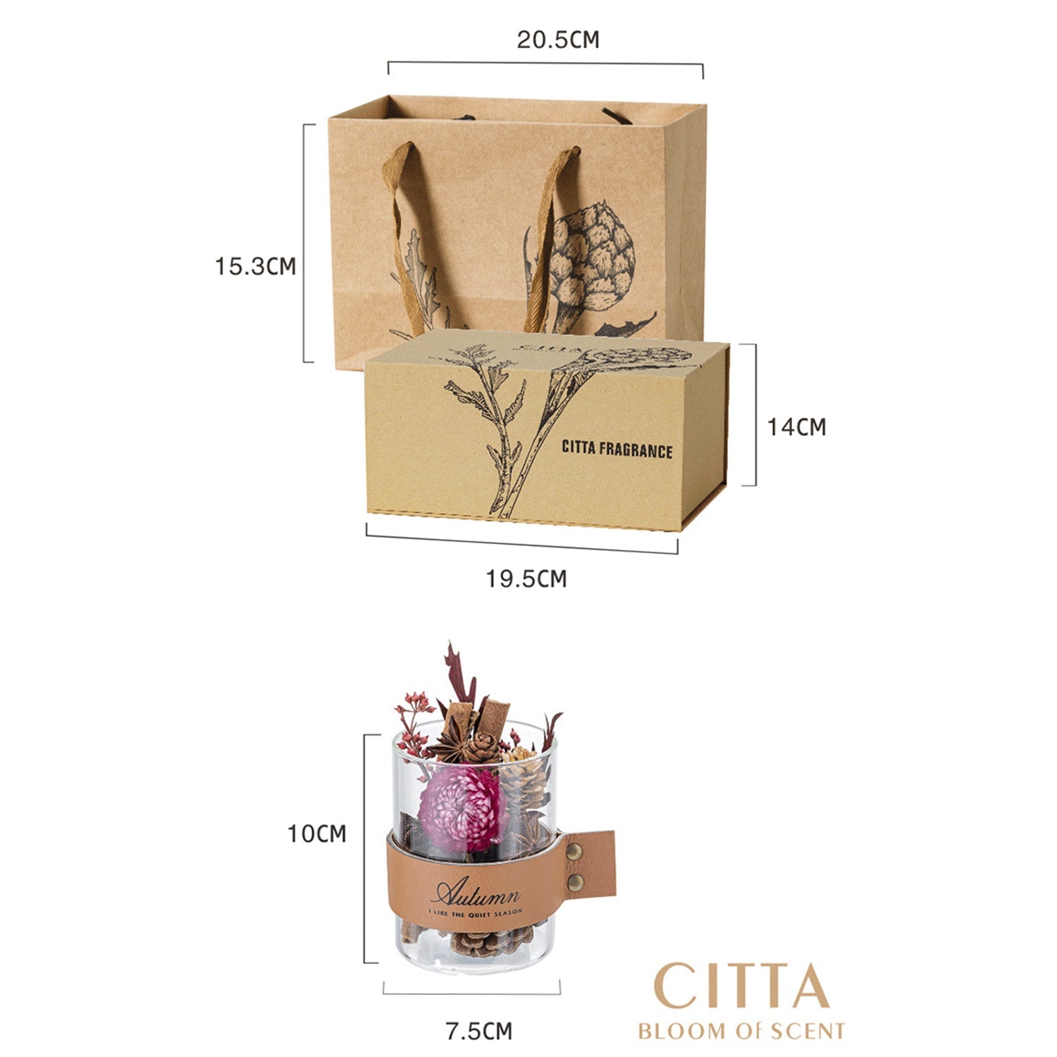 CITTA Dried Flower Fragrant Wood Reed Diffuser with 10ML Essential Oil Gift Set Home Fragrance Aromatherapy Reed Diffuser CITTA 