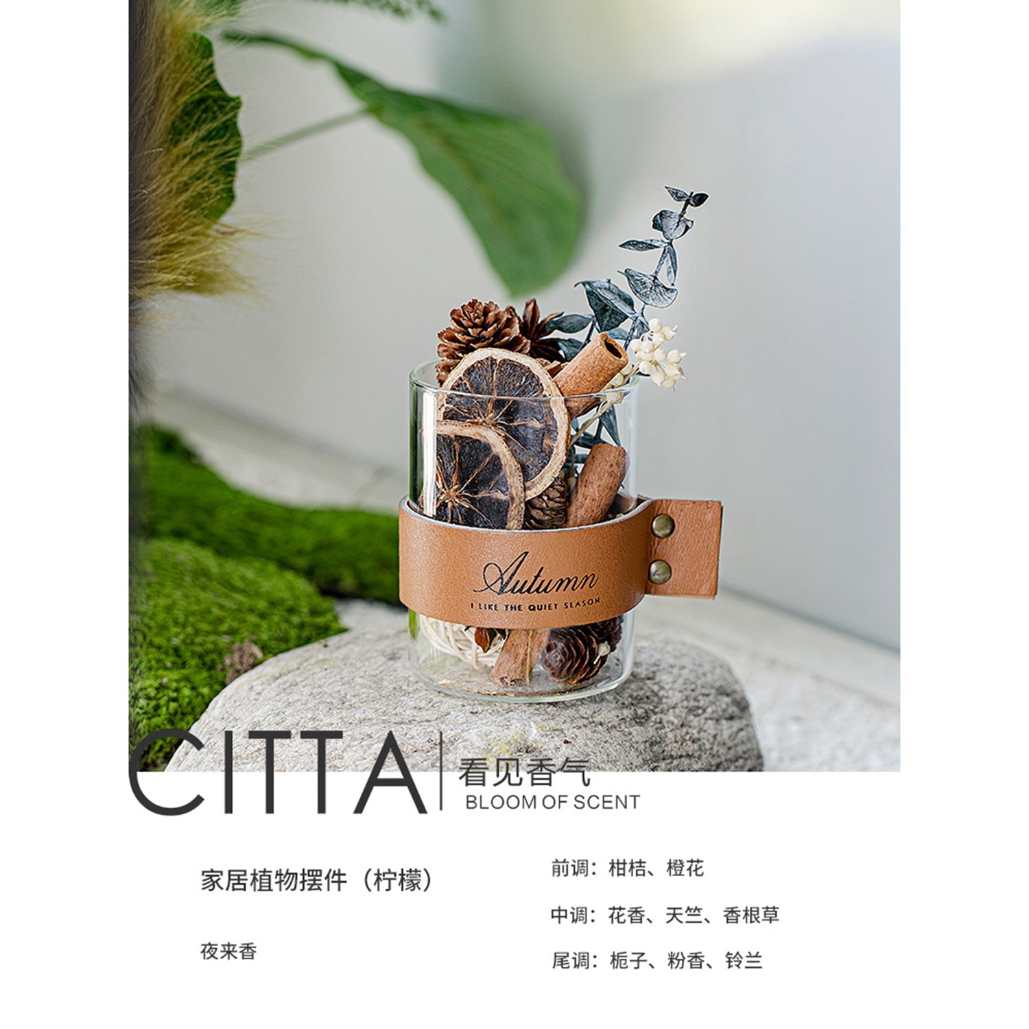 CITTA Dried Flower Fragrant Wood Reed Diffuser with 10ML Essential Oil Gift Set Home Fragrance Aromatherapy Reed Diffuser CITTA Lemon / Tuberose 