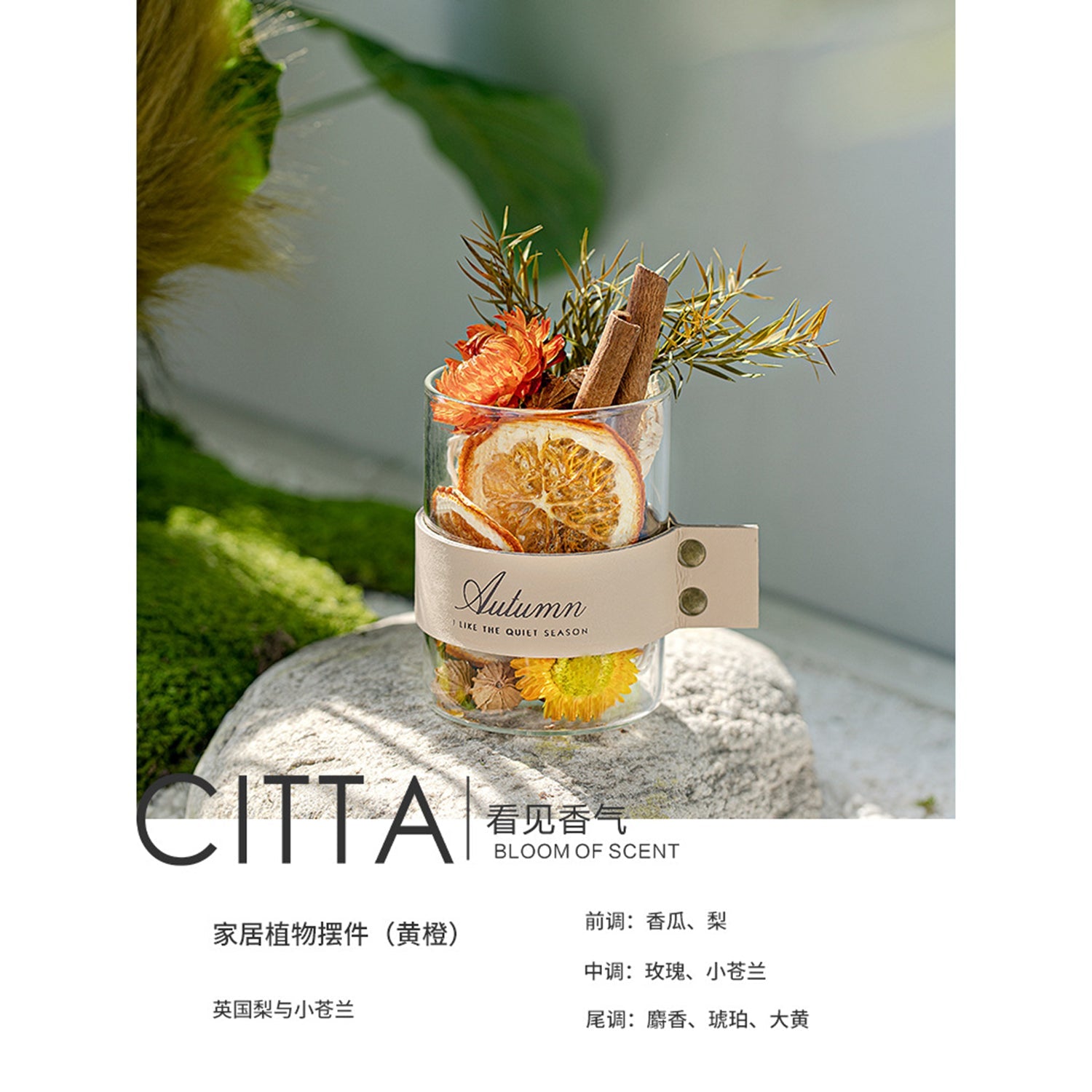 CITTA Dried Flower Fragrant Wood Reed Diffuser with 10ML Essential Oil Gift Set Home Fragrance Aromatherapy Reed Diffuser CITTA Orange / English Pear & Freesia 