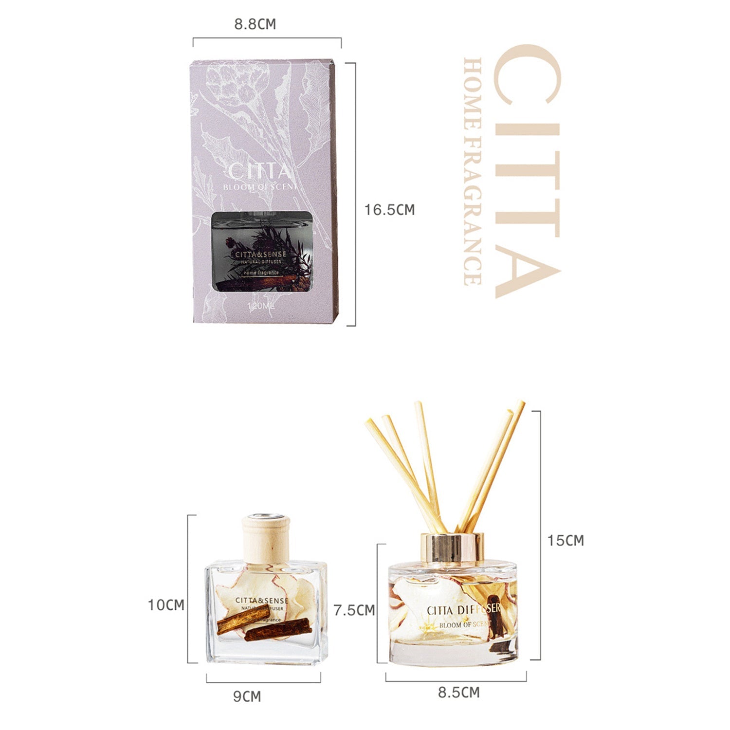CITTA Fruity Winter Series Reed Diffuser Aromatherapy 120ML Premium Essential Oil with Reed Stick and Dry Fruit Reed Diffuser CITTA 