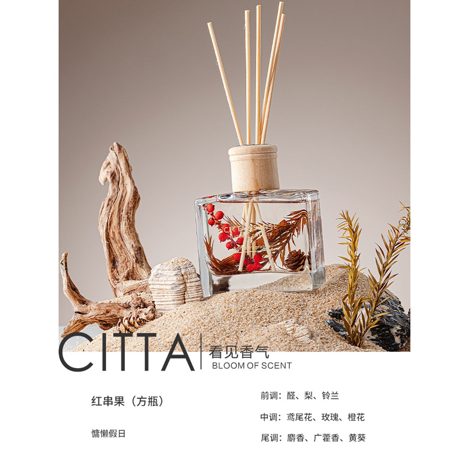 CITTA Fruity Winter Series Reed Diffuser Aromatherapy 120ML Premium Essential Oil with Reed Stick and Dry Fruit Reed Diffuser CITTA Bunch Of Red / Cozy Holiday 