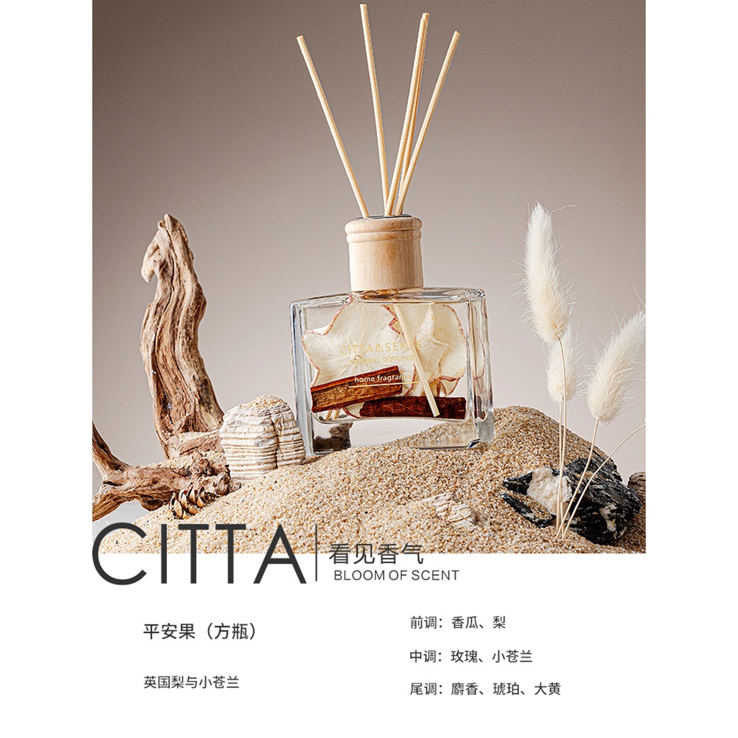 CITTA Fruity Winter Series Reed Diffuser Aromatherapy 120ML Premium Essential Oil with Reed Stick and Dry Fruit Reed Diffuser CITTA Sweet Apple / English Pear & Freesia 