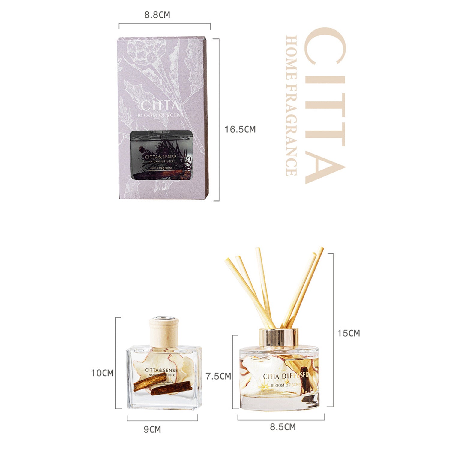 CITTA Fruity Winter Series Reed Diffuser Aromatherapy 150ML Premium Essential Oil with Reed Stick and Dry Fruit Reed Diffuser CITTA 