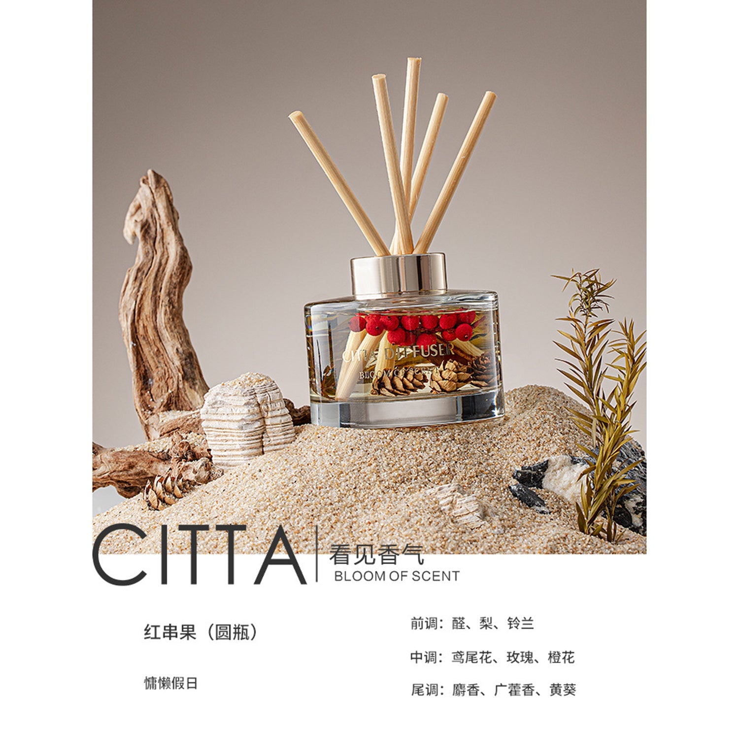 CITTA Fruity Winter Series Reed Diffuser Aromatherapy 150ML Premium Essential Oil with Reed Stick and Dry Fruit Reed Diffuser CITTA Bunch Of Red / Cozy Holiday 