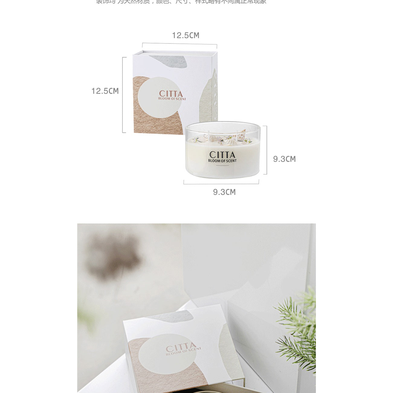 CITTA Simple White Series Scented Candle with Dry Flower and Shell 220G Scented Candle CITTA 