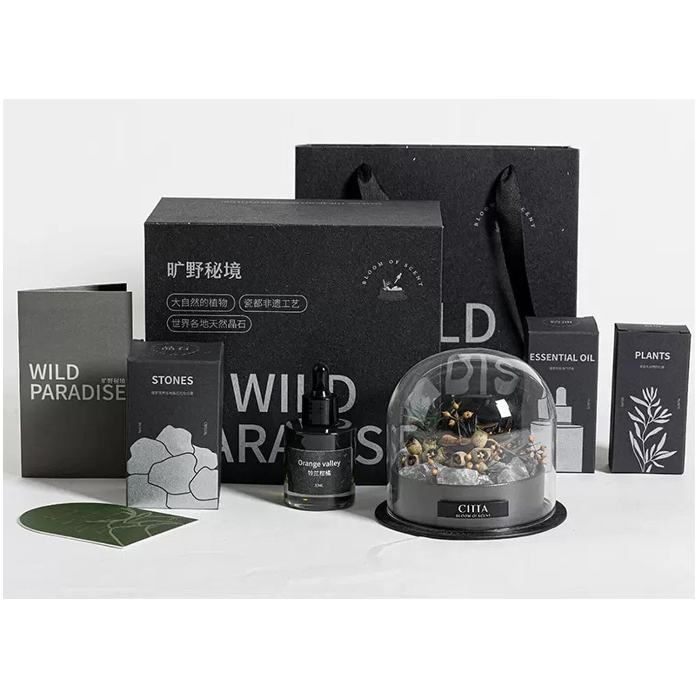 CITTA Wild Paradise Crystal Stone Diffuser Aromatherapy Gift Set with Dried Plants and High Purity Premium Essential Oil CITTA Tea-Coloured 