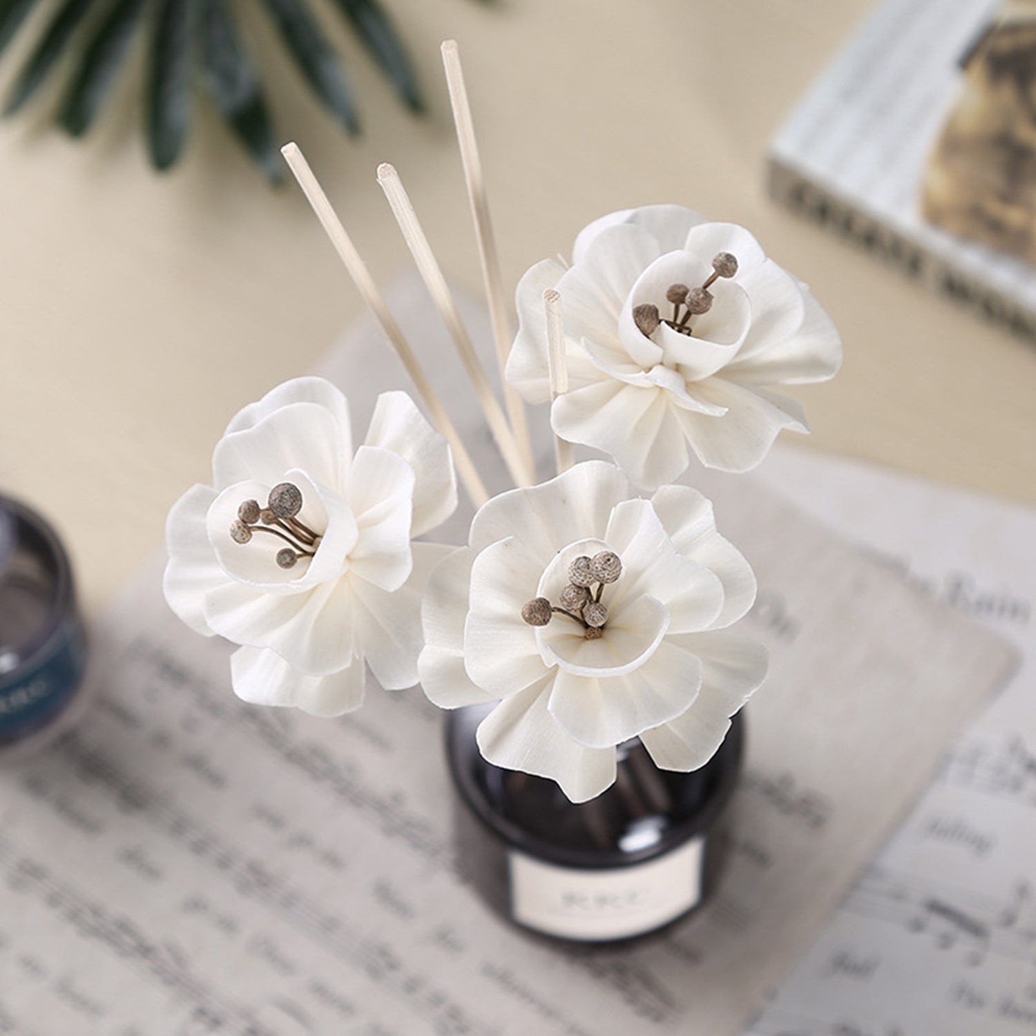 Hand-Made Sola Flower Aromatherapy Reed Diffuser Accessories Tetrapanax Papyrifer Dried Simulated Flowers Reed Diffuser Accessories OEM 