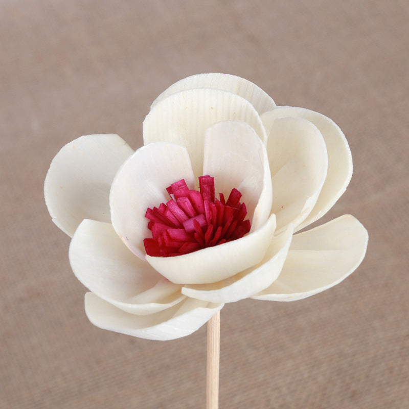 Hand-Made Sola Flower Aromatherapy Reed Diffuser Accessories Tetrapanax Papyrifer Dried Simulated Flowers Reed Diffuser Accessories OEM Cherry Blossom (5.5cm) 